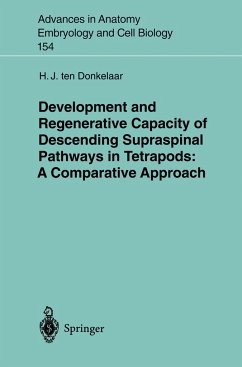 Development and Regenerative Capacity of Descending Supraspinal Pathways in Tetrapods - Ten Donkelaar, Hans J.