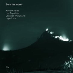 Cover Dans Les Arbres (2008)