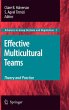 Effective Multicultural Teams: Theory... - Bild 1