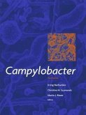 Campylobacter