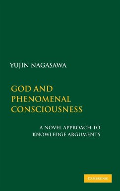 God and Phenomenal Consciousness - Nagasawa, Yujin