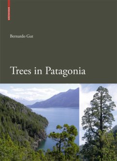 Trees in Patagonia - Gut, Bernardo