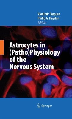 Astrocytes in (Patho)Physiology of the Nervous System - Parpura, Vladimir / Haydon, Philip G. (eds.)