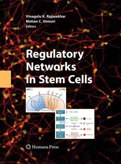 Regulatory Networks in Stem Cells - Rajasekhar, Vinagolu K. / Vemuri, Mohan C. (ed.)
