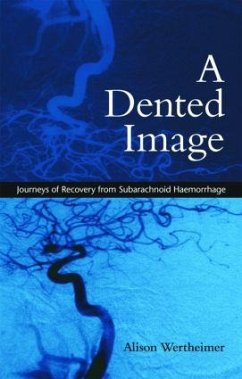 A Dented Image - Wertheimer, Alison