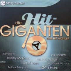 Die Hit Giganten: One Hit Wonder
