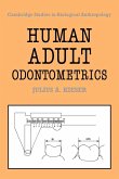 Human Adult Odontometrics