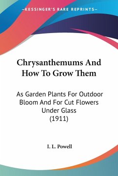 Chrysanthemums And How To Grow Them