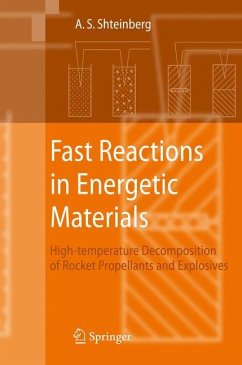 Fast Reactions in Energetic Materials - Shteinberg, Alexander S.