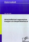 Wirtschaftlichkeit regenerativer Energien am Beispiel Bioethanol