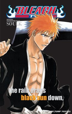 Cover Bleach: Souls. Official Character Book