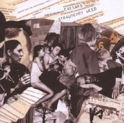 Cover Strawberry Weed