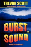 Burst of Sound