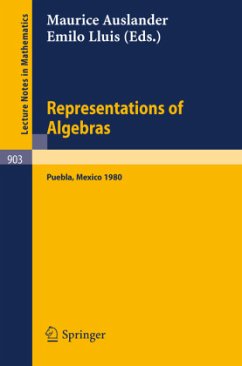 Representations of Algebras