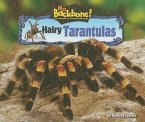 Hairy Tarantulas