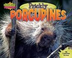 Prickly Porcupines