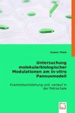 Untersuchung molekularbiologischer Modulationen am in vitro Pannusmodell