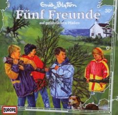 Cover 030/Auf Gefährlichen Pfaden