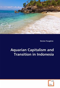 Aquarian Capitalism and Transition in Indonesia - Fougères, Dorian