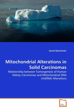 Mitochondrial Alterations in Solid Carcinomas - Meierhofer, David