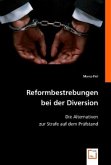 Reformbestrebungen bei der Diversion