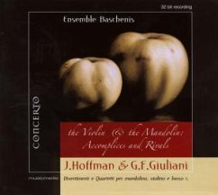 The Violin And The Mandolin - Ensemble Baschenis