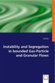 Instability and Segregation in bounded Gas-Particle and Granular Flows