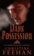 Dark Possession - Bild 1