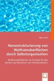 Nanostrukturierung von Wolframoberflächen durch Selbstorganisation