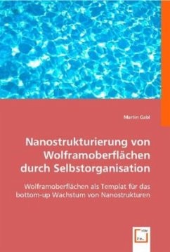 Nanostrukturierung von Wolframoberflächen durch Selbstorganisation - Gabl, Martin