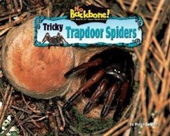 Tricky Trapdoor Spiders - Goldish, Meish