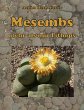 Mesembs - mehr als nur Lithops - Bild 1