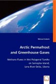 Arctic Permafrost and Greenhouse Gases