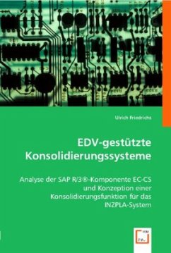 EDV-gestützte Konsolidierungssysteme - Ulrich Friedrichs