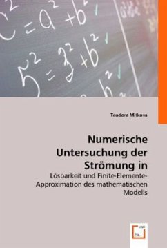 Numerische Untersuchung der Strömung in Magnetfluiddichtungen - Teodora Mitkova