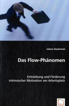 Das Flow-Phänomen - Handschuh, Juliane