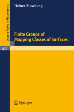 Finite Groups of Mapping Classes of Surfaces - Zieschang, H.