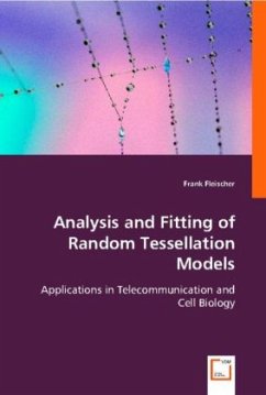 Analysis and Fitting of Random Tessellation Models - Fleischer, Frank