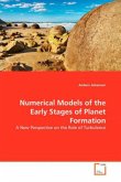 Numerical Models of the Early Stages of Planet Formation
