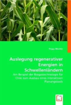 Auslegung regenerativer Energien in Schwellenländern - Peggy Mischke