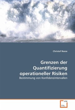Grenzen der Quantifizierung operationeller Risiken - Reese, Christof