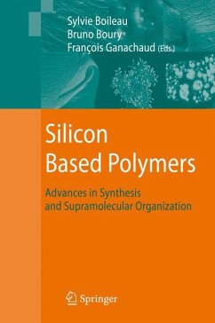 Silicon Based Polymers - Ganachaud, François / Boileau, Sylvie / Boury, Bruno (eds.)