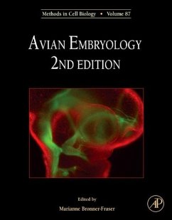 Avian Embryology