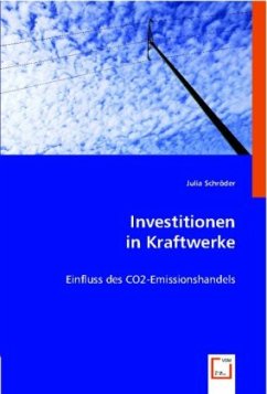 Investitionen in Kraftwerke - Schröder, Julia