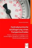 Hydrodynamische Axiallagerung eines Pumpenlaufrades