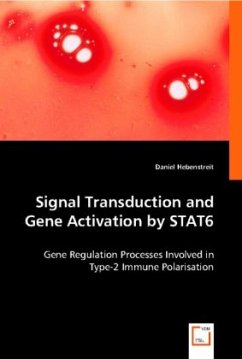 Signal Transduction and Gene Activation by STAT6 - Hebenstreit, Daniel