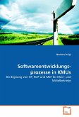 Software­ent­wick­lungs­prozesse in KMUs