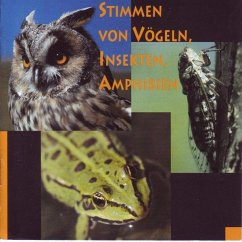 Stimmen Von Vögeln,Insekten,Amphibien - Diverse