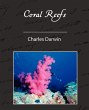 Coral Reefs - Bild 1