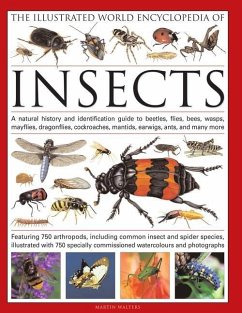 The Illustrated World Encyclopedia of Insects - Walters, Martin